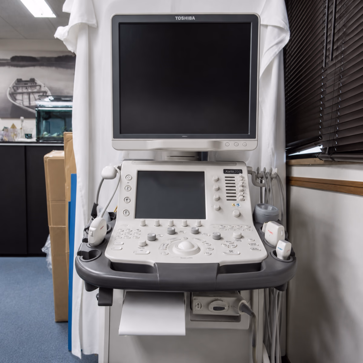 УЗД Canon (Toshiba) Aplio 300 — 1