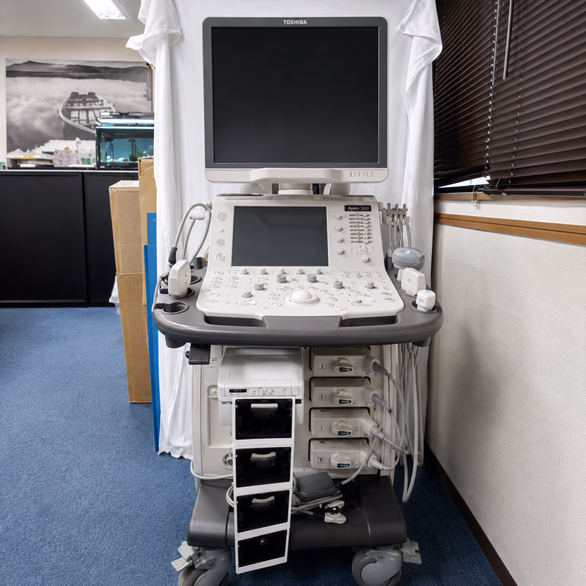 УЗД Canon (Toshiba) Aplio 300 — 21